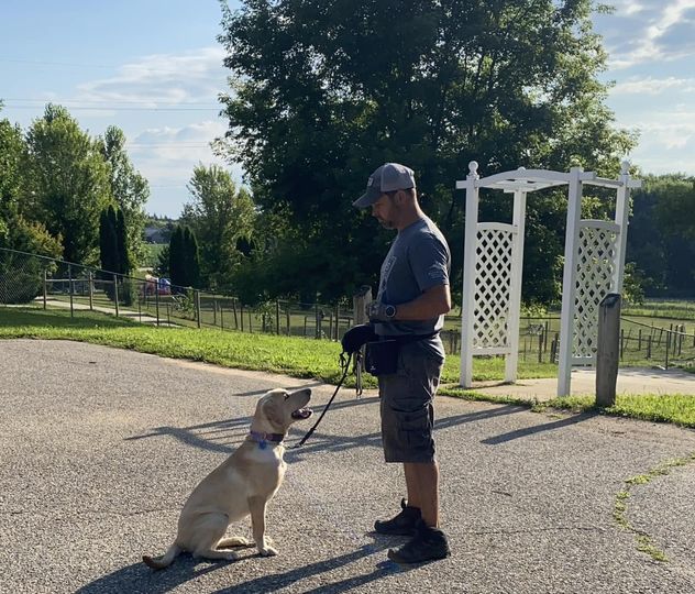 Trainer working one-on-one with a yellow Lab